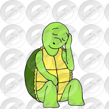 Sleepy Turtle Picture