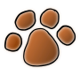 Paw Print Picture