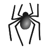 6+spiders+spinning Picture