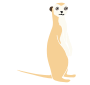 Meerkat Stencil