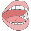 Open+Lips+-+Tongue+Tip+Up Picture