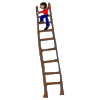 top+of+ladder Picture
