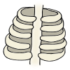 rib+bones Picture