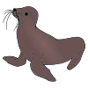 The+sea+lion+is+in+the+sea. Picture