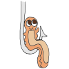 worm+on+hook Picture