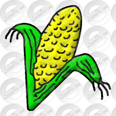 Corn Picture