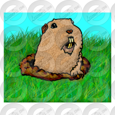 Gopher Picture
