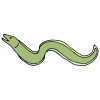 I+see+an+eel+swim+by_+it+kind+of+looks+like+a+snake. Picture