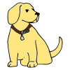 Dog_s+Name Picture