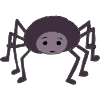 Calm Spider Picture