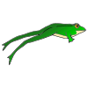 Leaping+Frog Picture