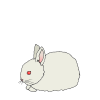 Rabbit+Baby Picture