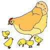 Mrs.+Codner+has+pets.+She+has+6+chickens_ Picture