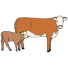 Cow+and+calf Picture