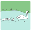 Swans-pen_cygnets Picture