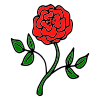 Red+Rose Picture