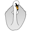 Swan-cob Picture