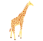 Giraffe Stencil