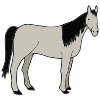Horse-stallion Picture