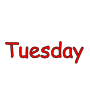 Tuesday Picture