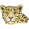 leopard Picture