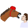 Don_t+Look+A+Gift+Horse+in+the+Mouth Picture