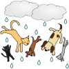 ++Start+Here_+Raining+Cats+and+Dogs Picture