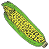 corn. Picture