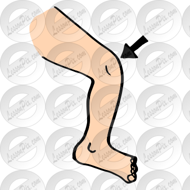 Knee Picture for Classroom / Therapy Use - Great Knee Clipart