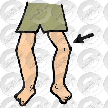 Knee Picture for Classroom / Therapy Use - Great Knee Clipart