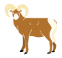 Bighorn Sheep Stencil