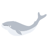 Whale Stencil