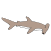 Hammerhead Picture