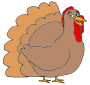 Happy Turkey Picture