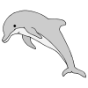 There+is+a+dolphin_+I+see+it+jump+high+out+of+the+water. Picture