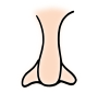 Nose Outline for Classroom / Therapy Use - Great Nose Clipart