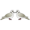 Turtle+Doves Picture