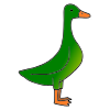 Green+Duck Picture