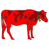 Red+Cow Picture