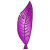Purple+Feather Picture