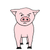 Impolite+Pig Picture