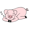 Tired+Pig Picture