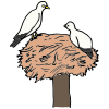 bird+nest Picture