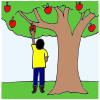 He+is+picking+an+apple. Picture