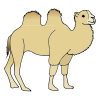 Bend+your+knee+like+a+camel. Picture