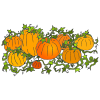Pumpkin+patches+grow+pumpkins Picture