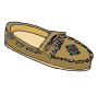 Moccasin Picture