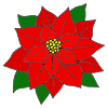 One+Christmas+flower+is+the+poinsettia. Picture