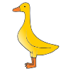 duck. Picture