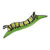 Caterpillar+Grows Picture